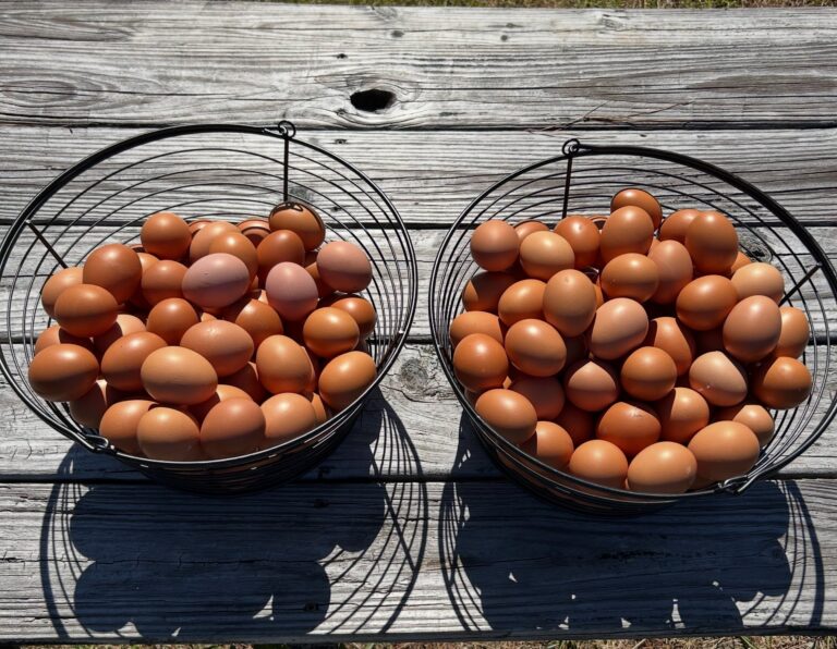 Two wire baskets of brown farm eggs on a weathered picnic table